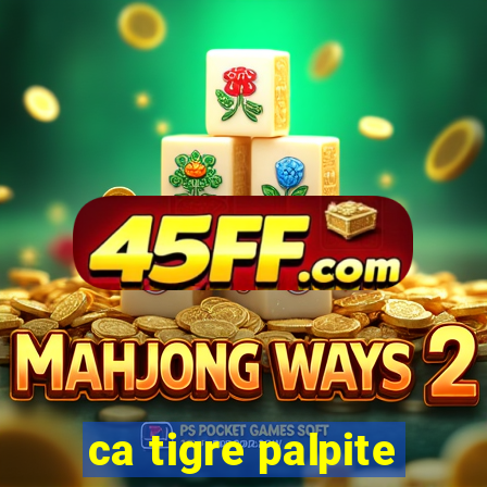 ca tigre palpite